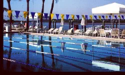 Featured image of post 2025 Suncoast Summer Swim League Championship