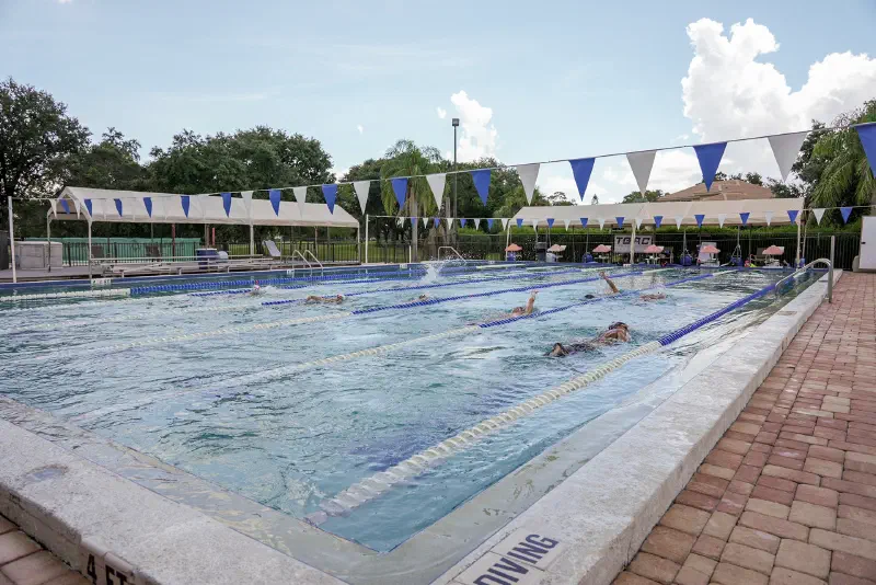 Featured image of post 2026 Suncoast Summer Swim League Championship